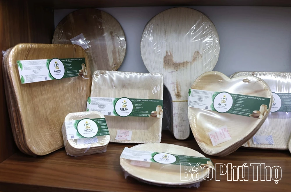 Những sản phẩm thân thiện với môi trường được làm từ chiếc mo cau