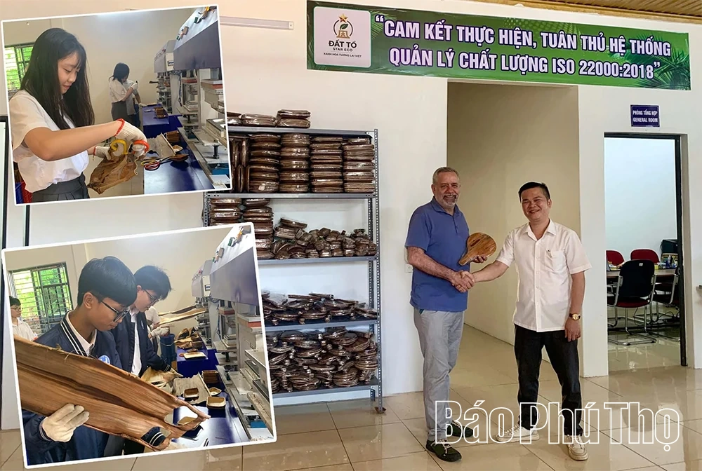 Những sản phẩm thân thiện với môi trường được làm từ chiếc mo cau