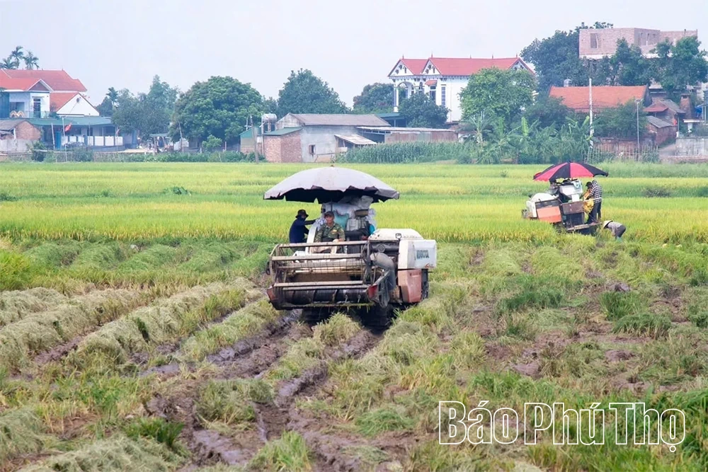 Lâm Thao khơi thông nguồn lực, tạo đột phá để tăng trưởng nhanh và bền vững