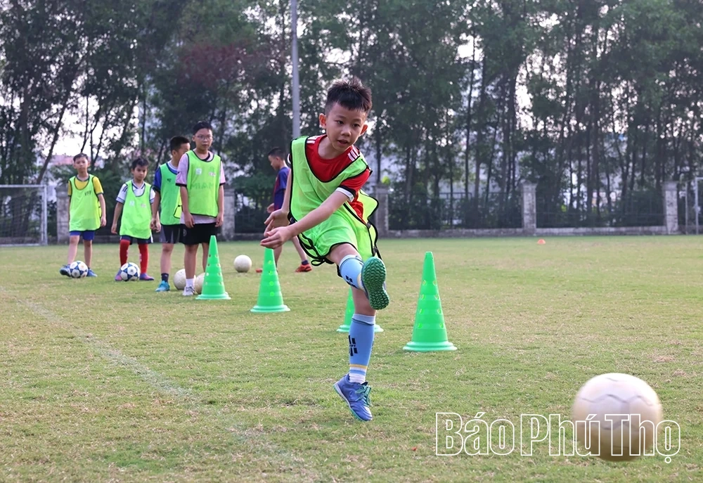 Ươm mầm năng khiếu bóng đá