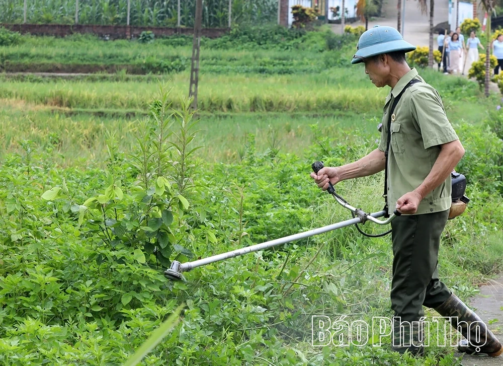 Phát động thi đua bảo vệ môi trường tại phường Tân Hòa