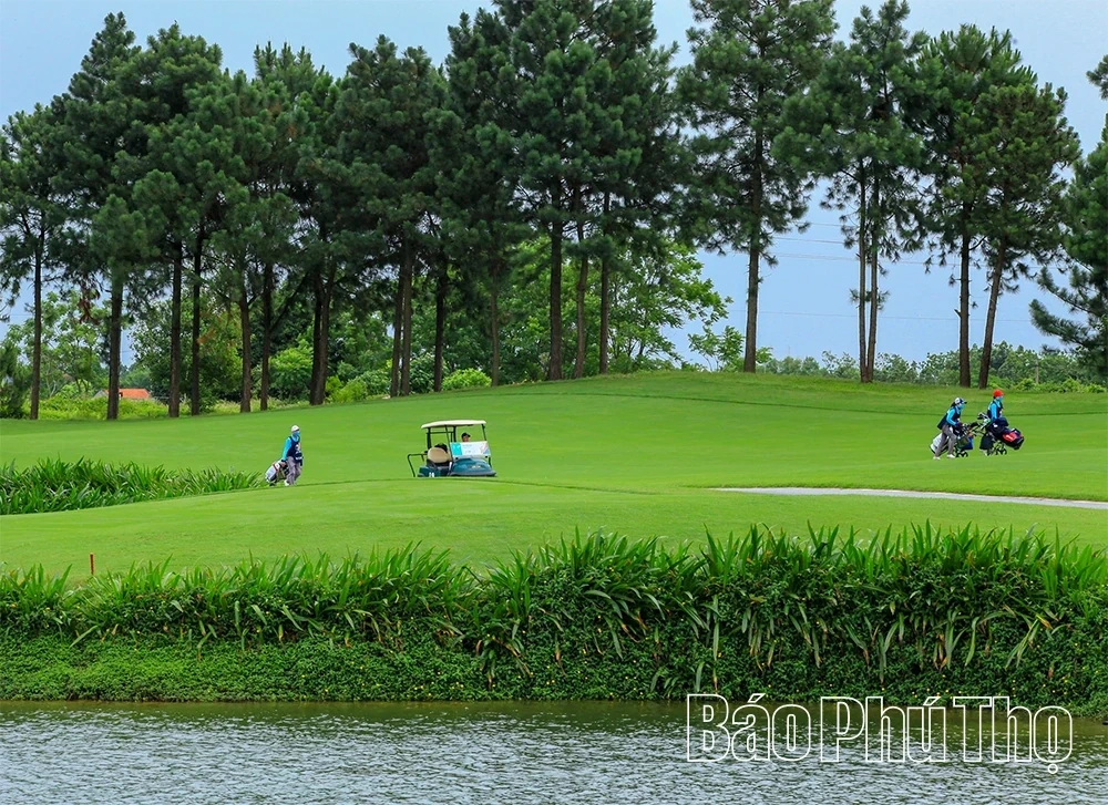 Dam Vac: The Green Jewel in the Heart of the City