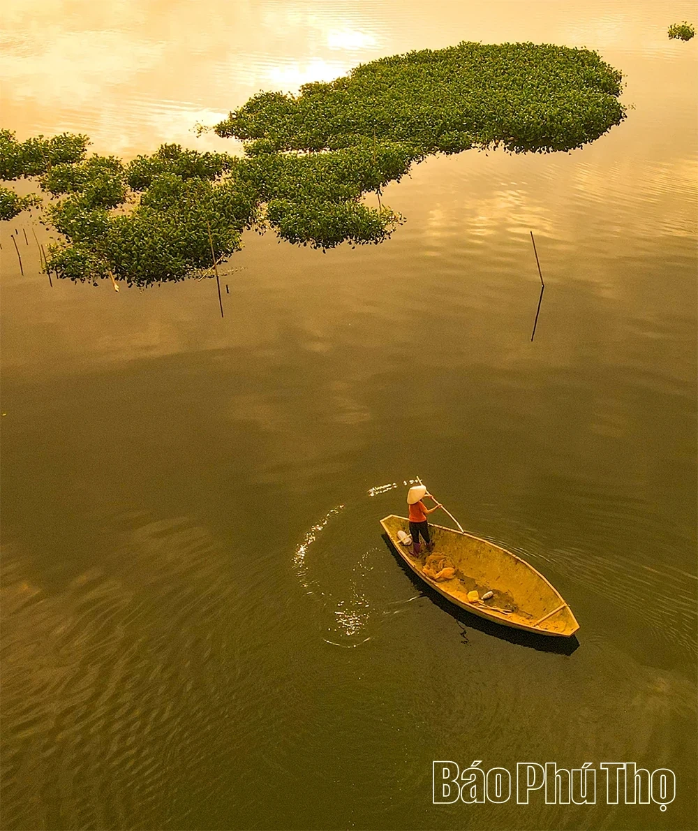Dam Vac: The Green Jewel in the Heart of the City