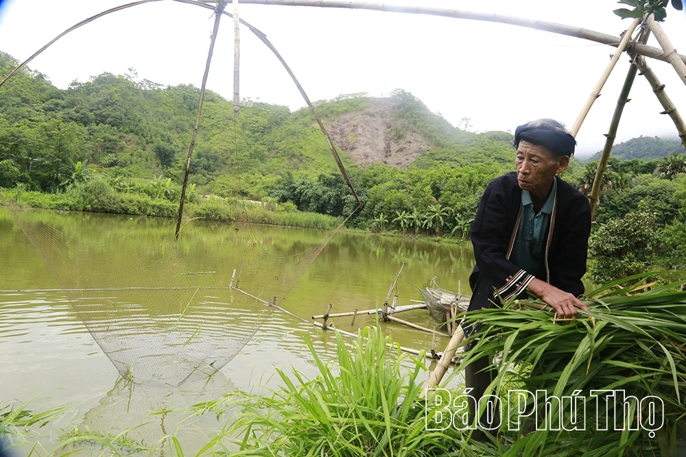 Bản người Dao Hạ Thành trên hành trình an cư