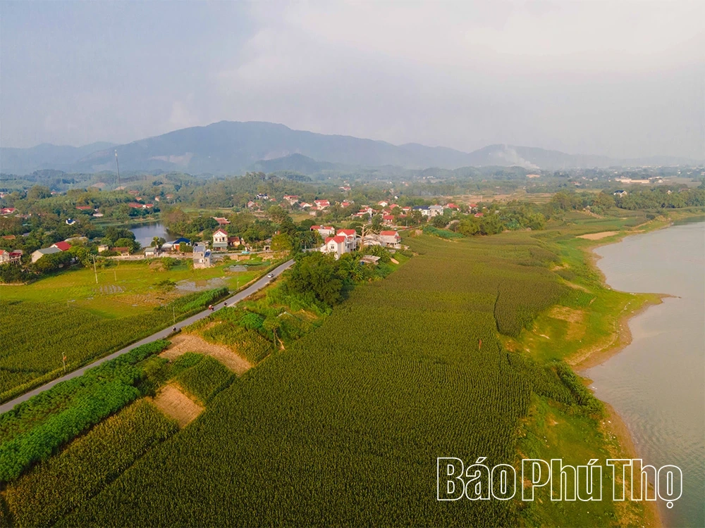 Bình yên bên dòng Lô giang