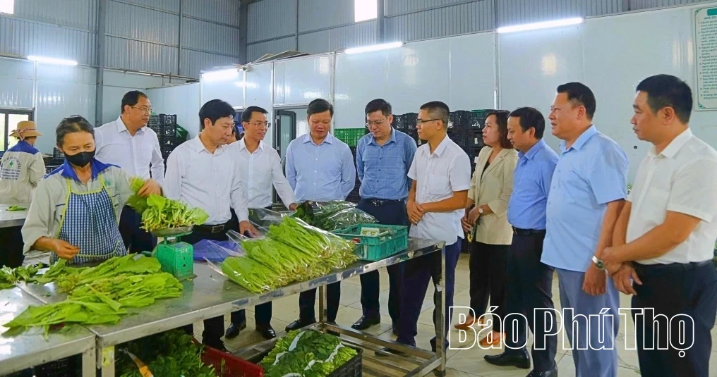 Khơi dậy nội lực nông dân xây dựng nông thôn mới