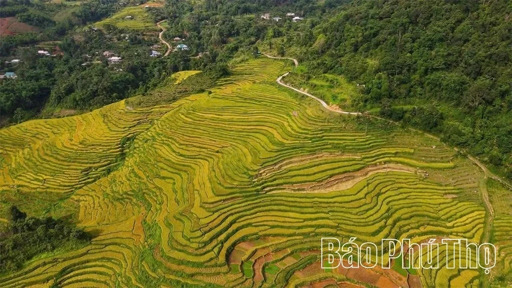 The Legend of Vo Vua in Muong Thang Commune