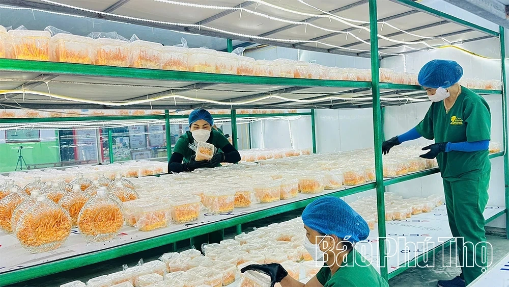 Combining Circular Agriculture with Experiential Tourism