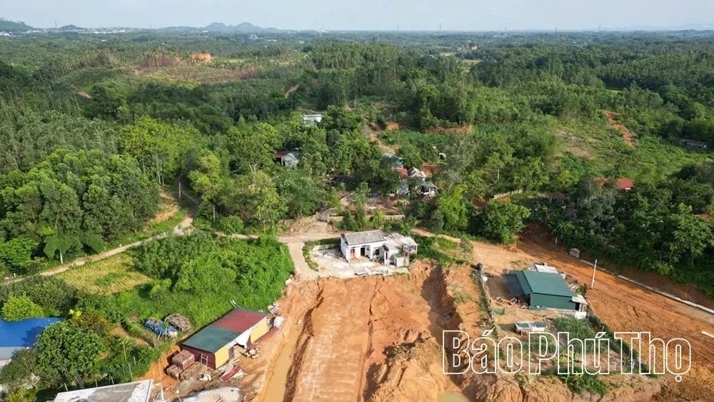 Phong Chau Accelerates Development of Phu Ho Industrial Cluster