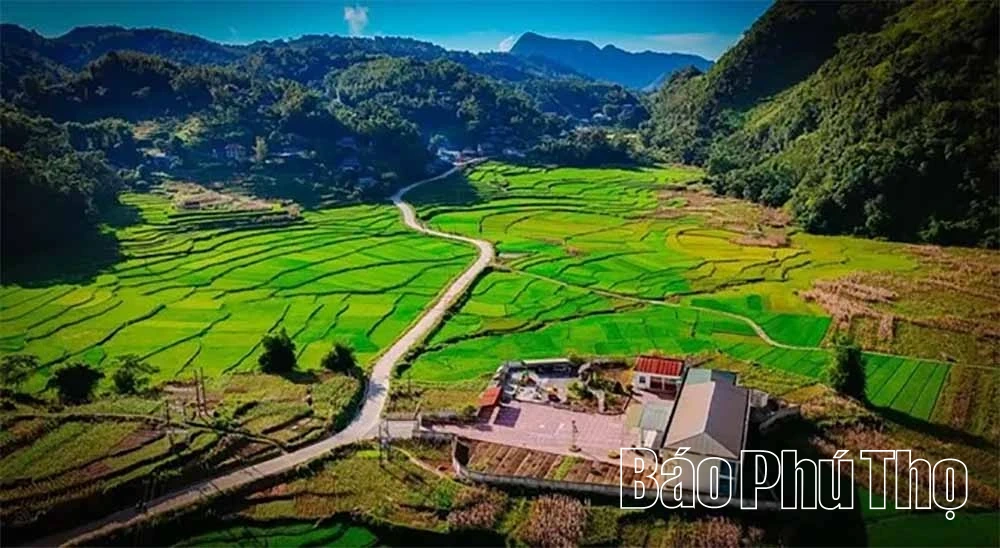 Khi chuyển đổi số là công cụ giải bài toán sinh kế