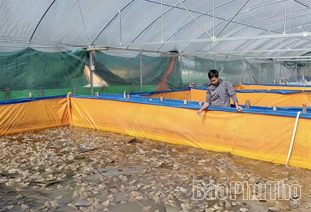 Lan tỏa phong trào thi đua yêu nước trong các cấp Hội Nông dân
