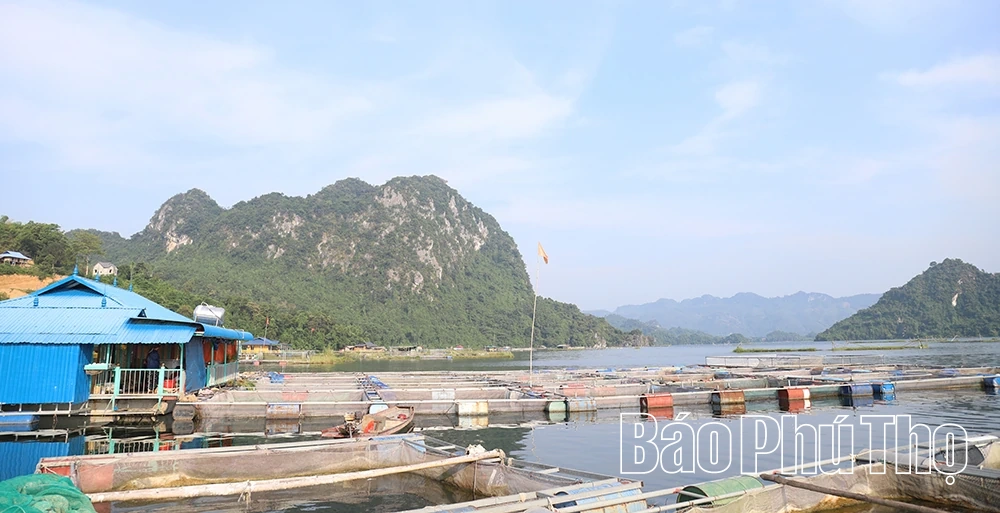 Tân Mai nỗ lực giảm nghèo