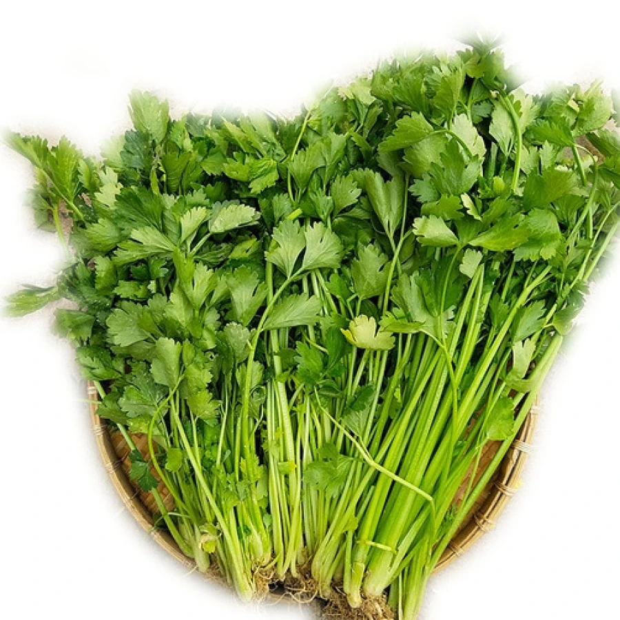 Giá cả thị trường ngày 21/7/2026