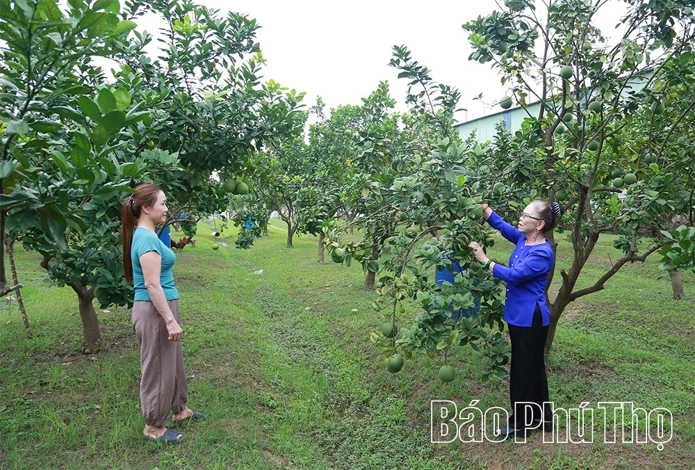 Người cao tuổi Phùng Nguyên sống vui, sống khỏe theo gương Bác Hồ