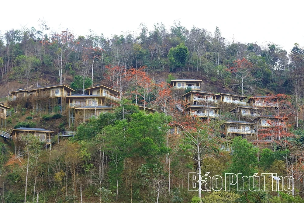 Exploring Hoa Binh Lake Tourism