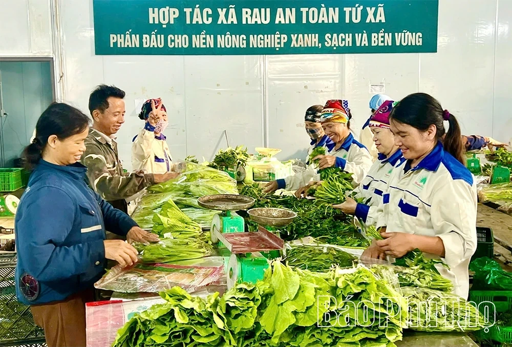 Regional Linkages: Enhancing Agricultural Product Consumption Efficiency