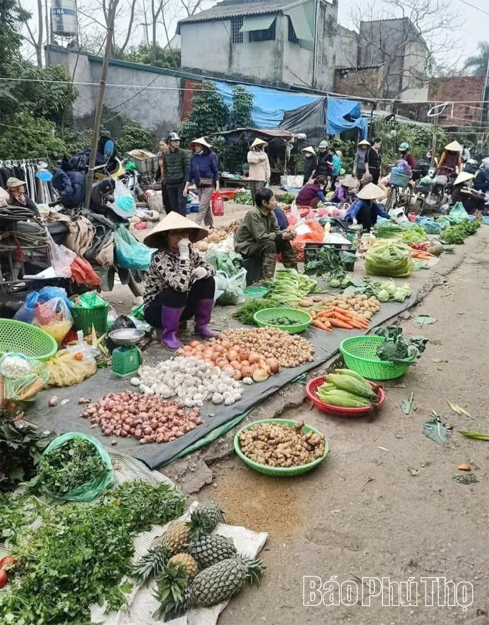 Chợ quê giữa lòng phố thị