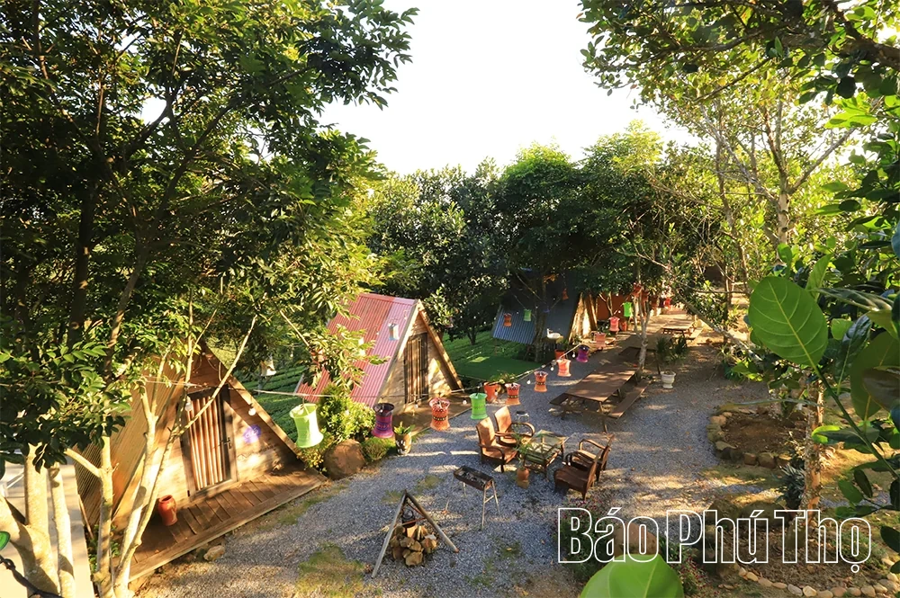Khai thác tiềm năng du lịch homestay