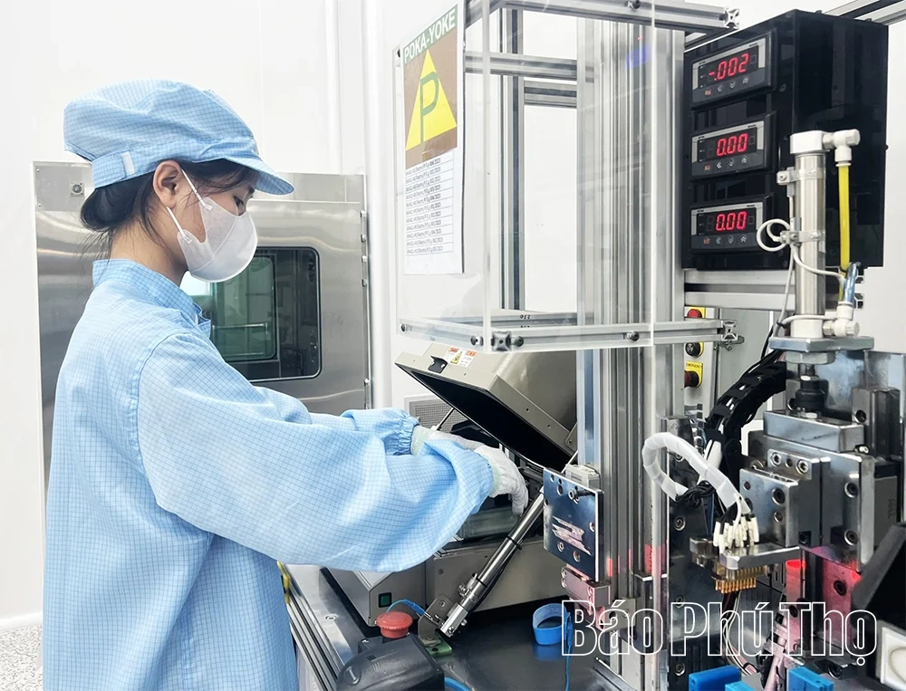 Sức bật của kinh tế tư nhân