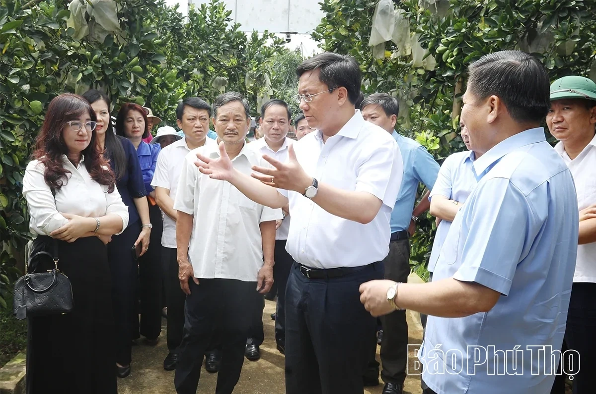 PPC Chairman Tran Duy Dong: Promote Large-Scale Agricultural Production Toward Sustainable Exports