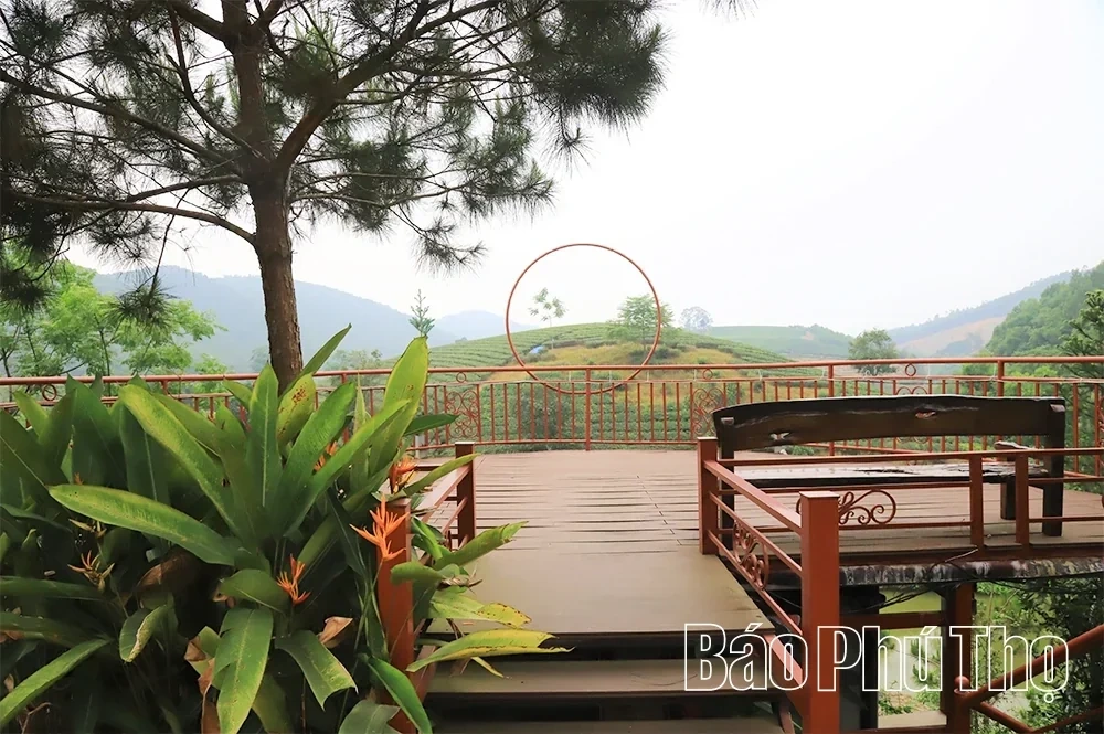 Awakening the Tourism Potential of Thanh Son Land