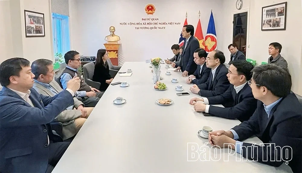 Enhancing Coordination with Vietnamese Embassies in Russia, Norway, and Denmark to Boost Investment Attraction into Phu Tho Province
