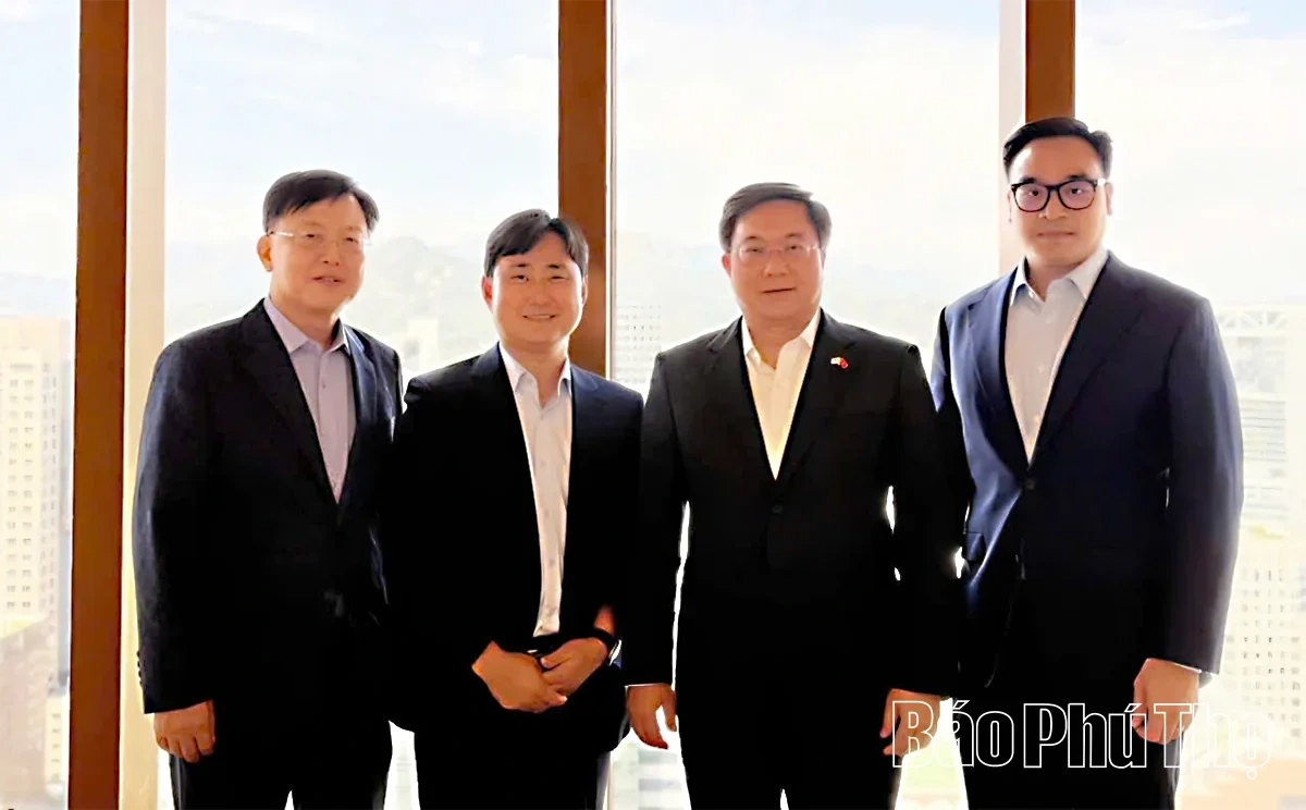 Promoting Deep, Wide, and Effective Cooperation between Phu Tho and BHFLEX Group