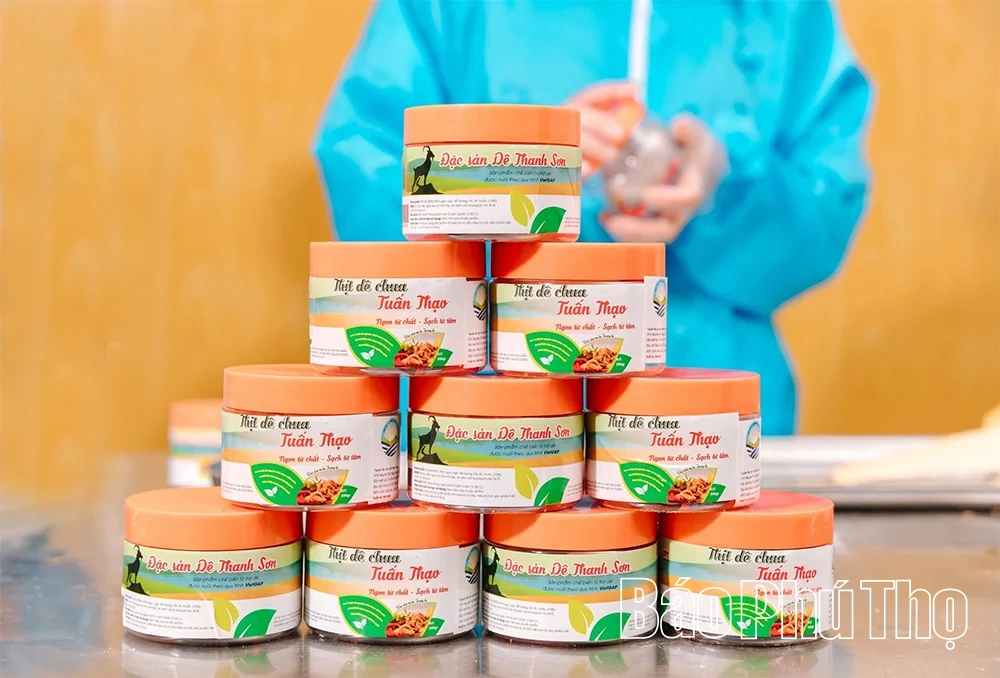 Cự Đồng phát triển kinh tế xanh, bền vững