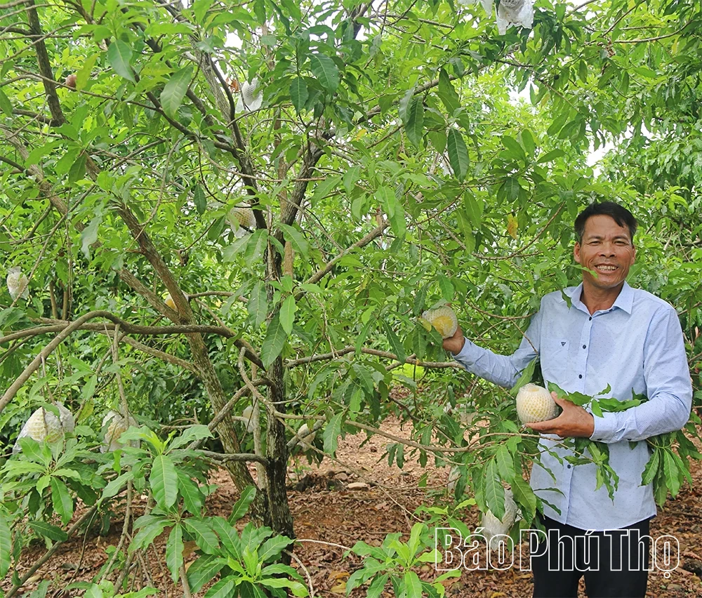 Cự Đồng phát triển kinh tế xanh, bền vững