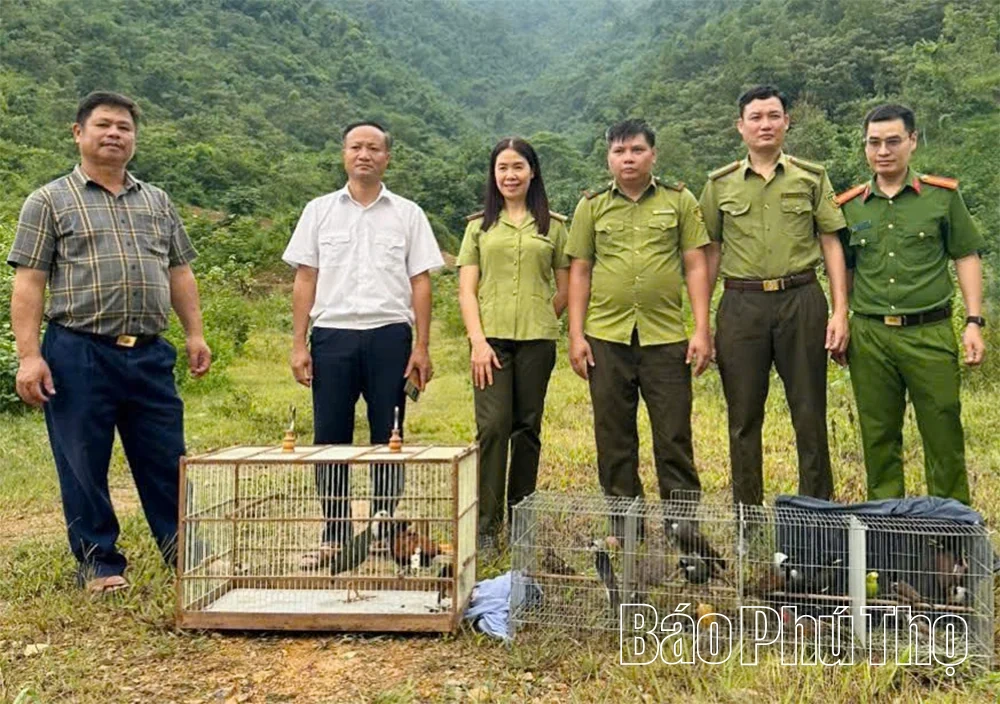 Tăng cường bảo vệ động vật hoang dã