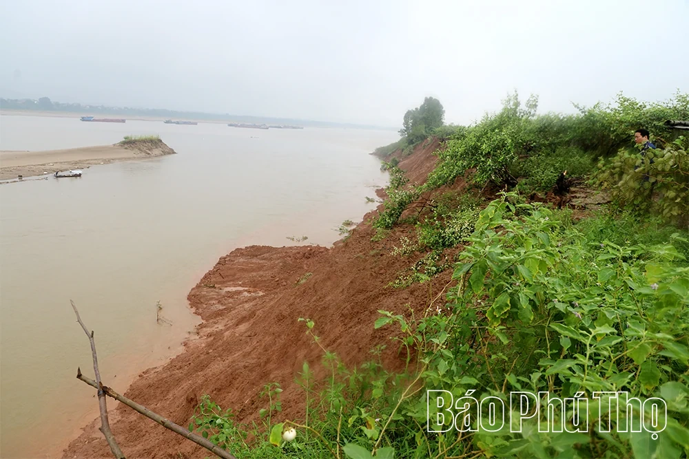 Sạt lở bờ sông Đà, ảnh hưởng trực tiếp tới sinh kế của người dân thôn Vũ xã Yên Sơn