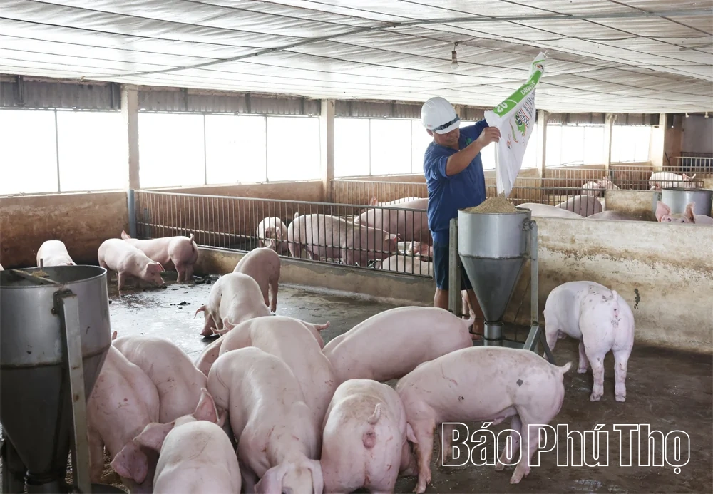 Lan toả phong trào “Tuổi cao - Gương sáng” ở Lâm Thao