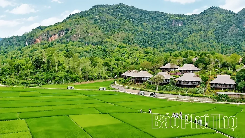 Focusing on Investment in Tourism Infrastructure