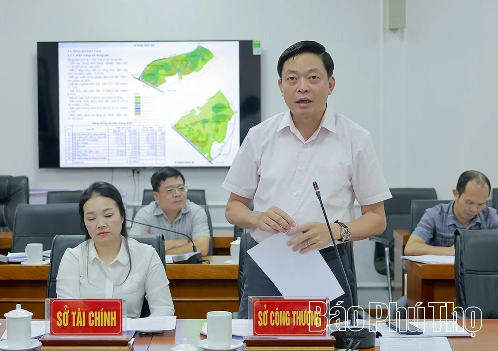 Focusing on Completing the Sub-Zone Planning Project for Tam Duong II Industrial Park – Zone B