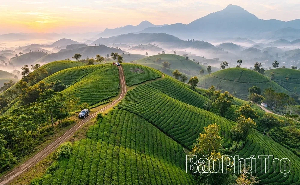 Long Coc – An Attractive Destination in the Ancestral Land