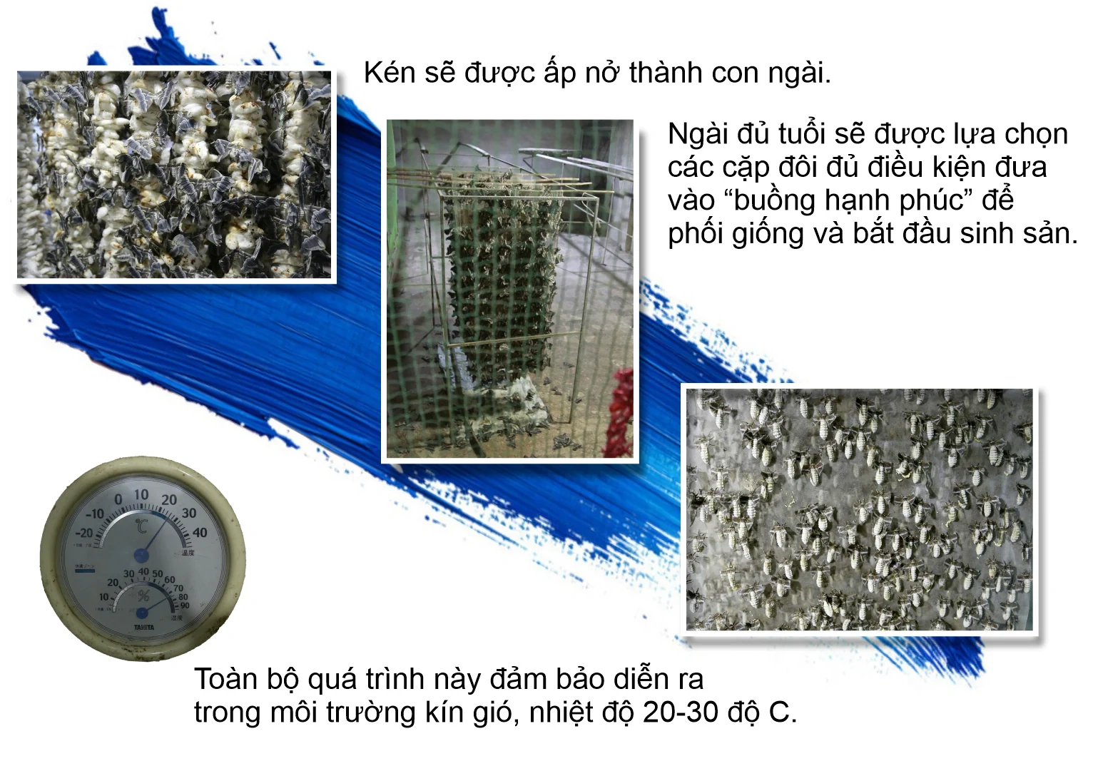 “Ăn cơm đứng” thu tiền tỷ