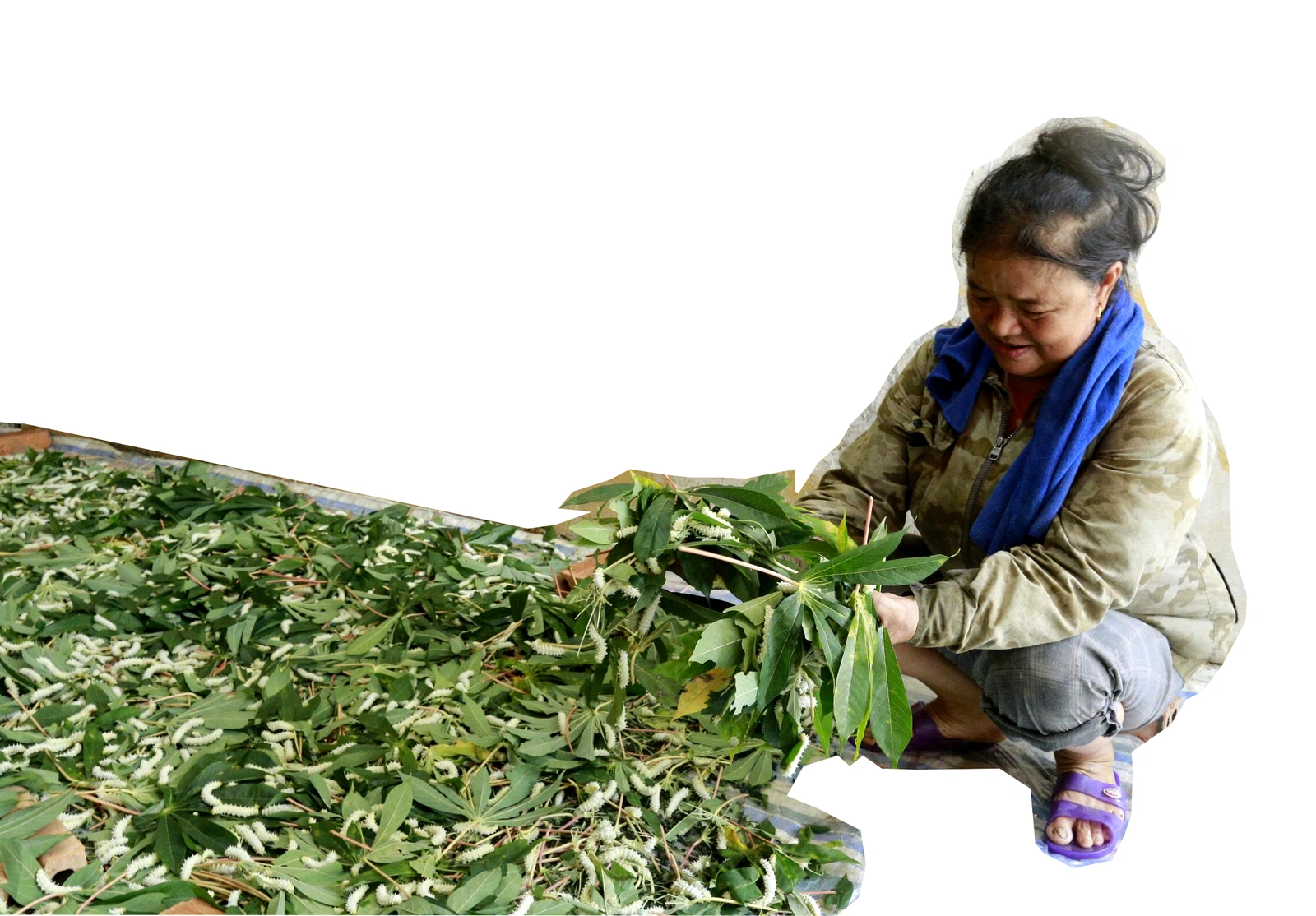 “Ăn cơm đứng” thu tiền tỷ