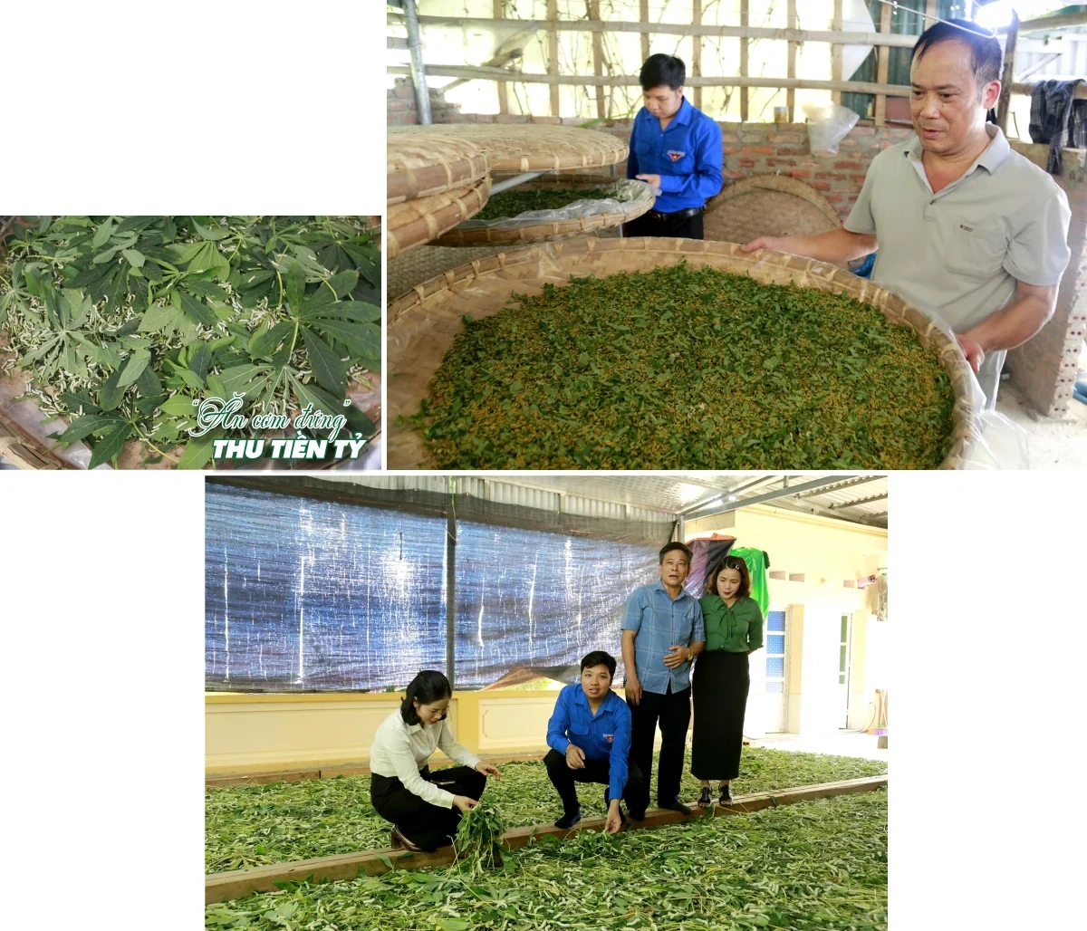 “Ăn cơm đứng” thu tiền tỷ