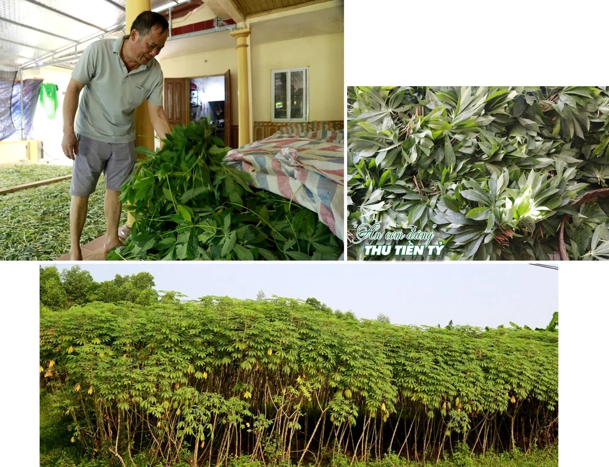 “Ăn cơm đứng” thu tiền tỷ