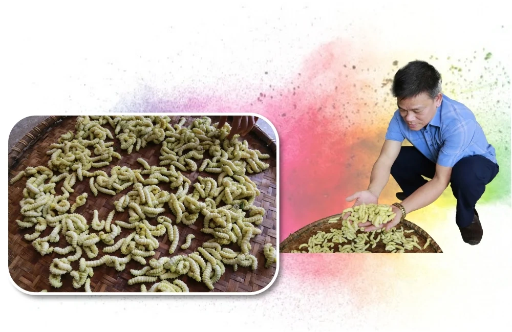 “Ăn cơm đứng” thu tiền tỷ