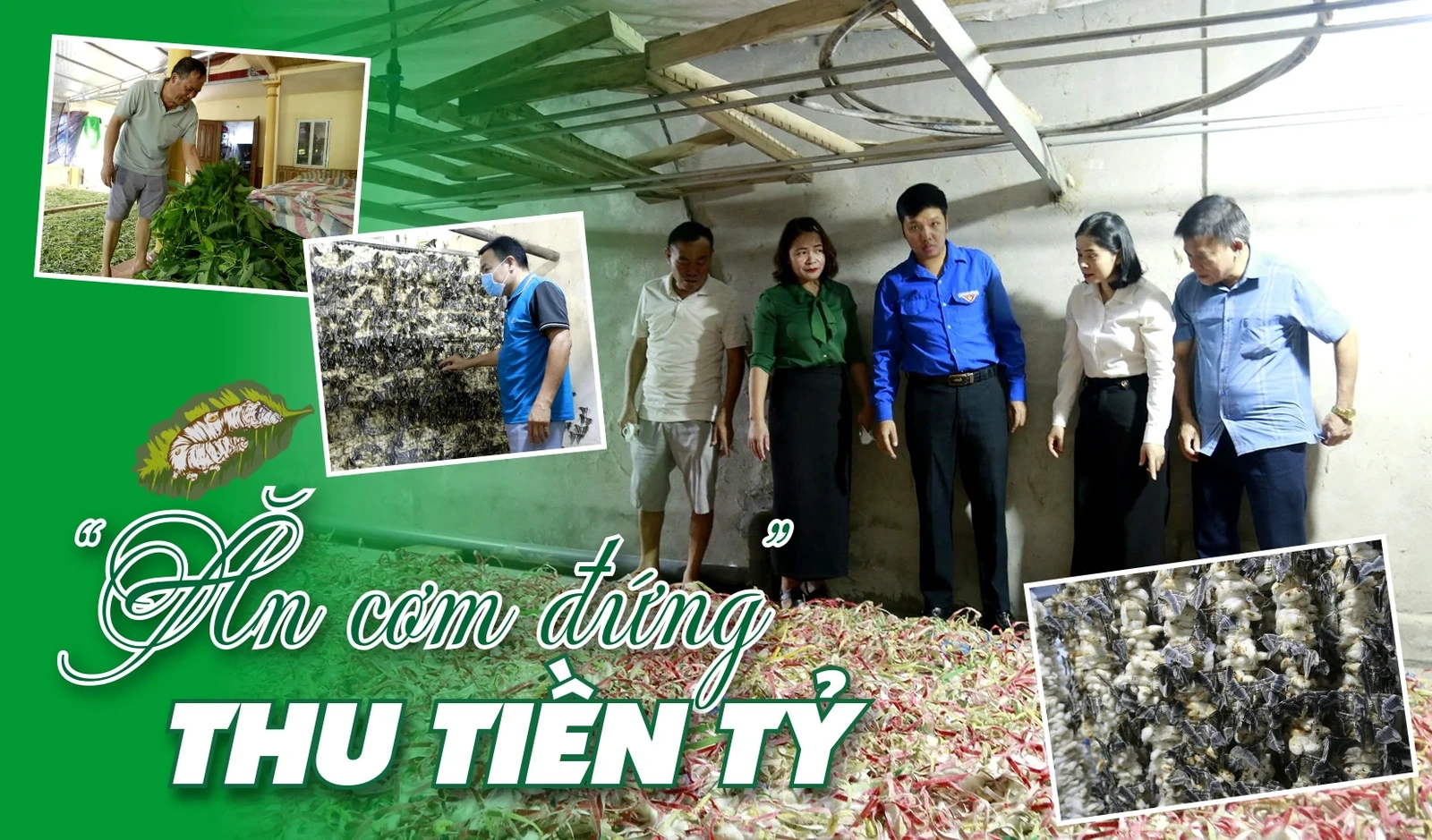 “Ăn cơm đứng” thu tiền tỷ