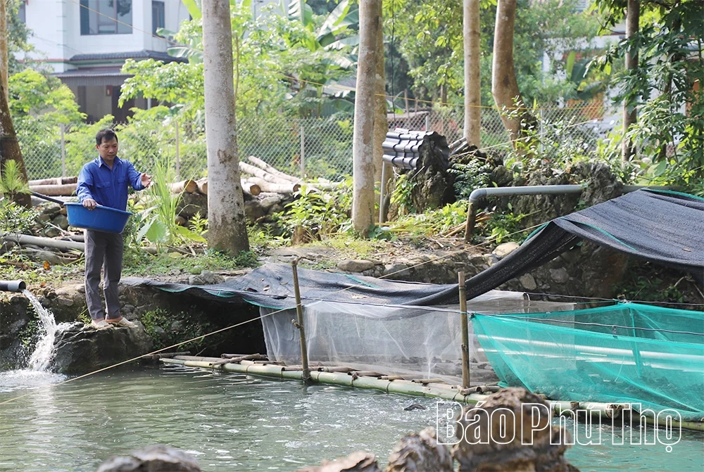 Triệu Thị Thơm - Bí thư chi bộ người Dao tiêu biểu
