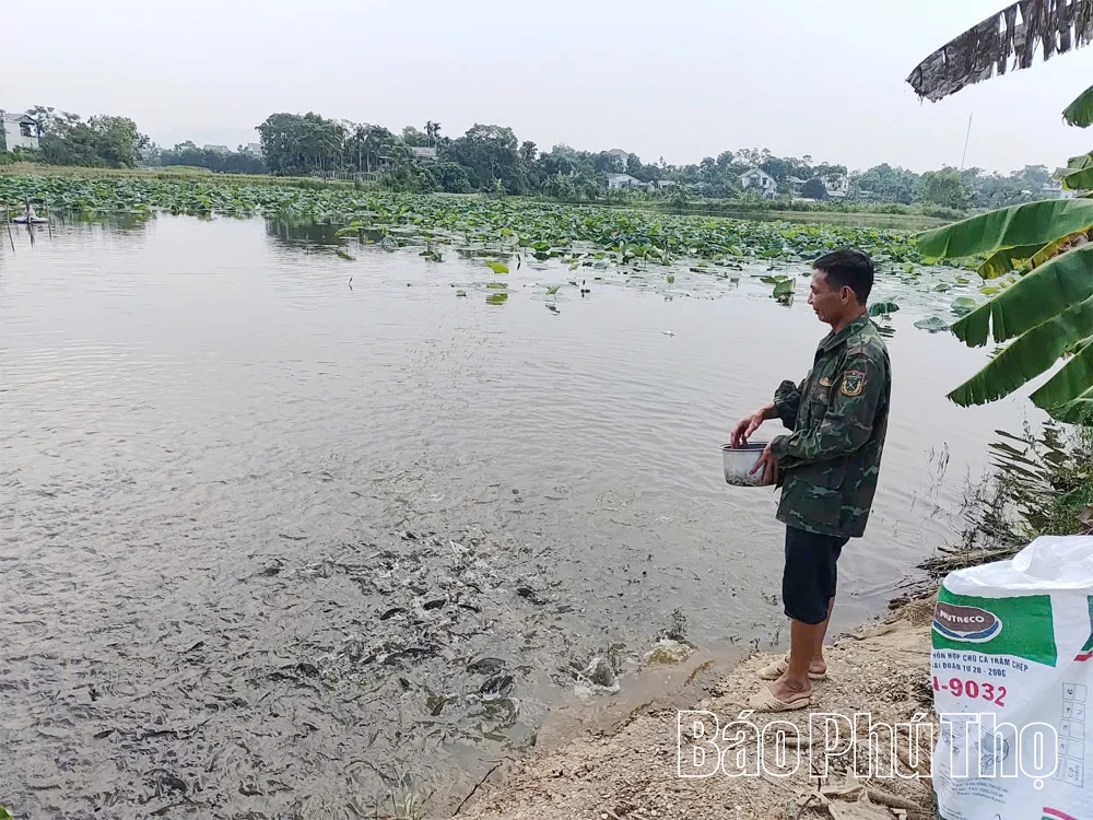 Nâng thu nhập, giảm nghèo bền vững