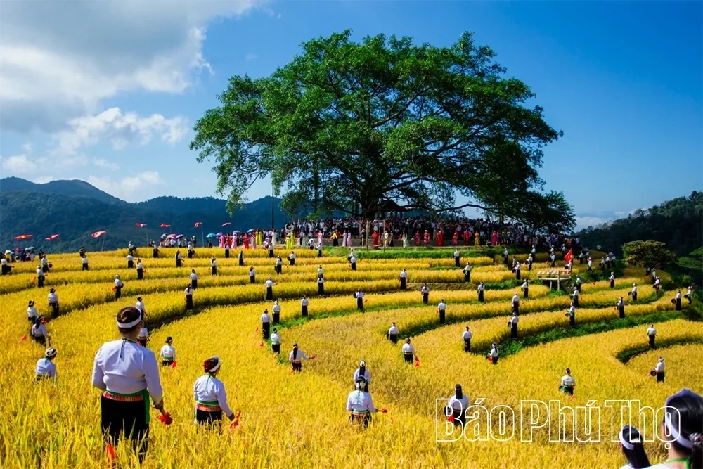 Mung Village in Cao Phong — Colors of Highland Tourism
