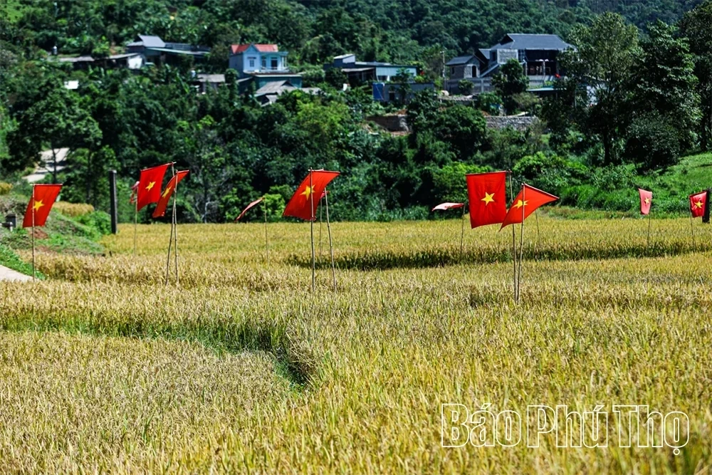Mung Village in Cao Phong — Colors of Highland Tourism