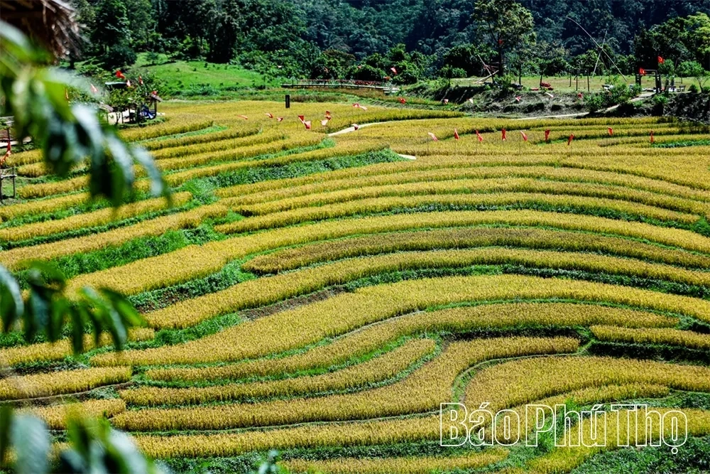 Mung Village in Cao Phong — Colors of Highland Tourism