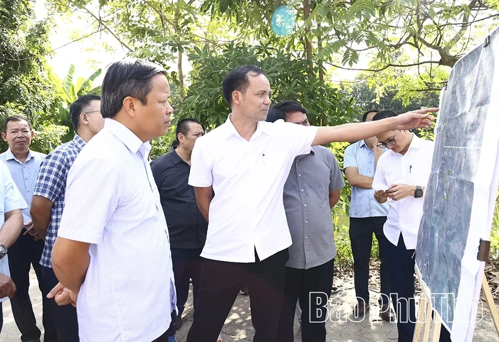 Inspecting Site Clearance Progress for the Lao Cai - Hanoi - Hai Phong Railway Project