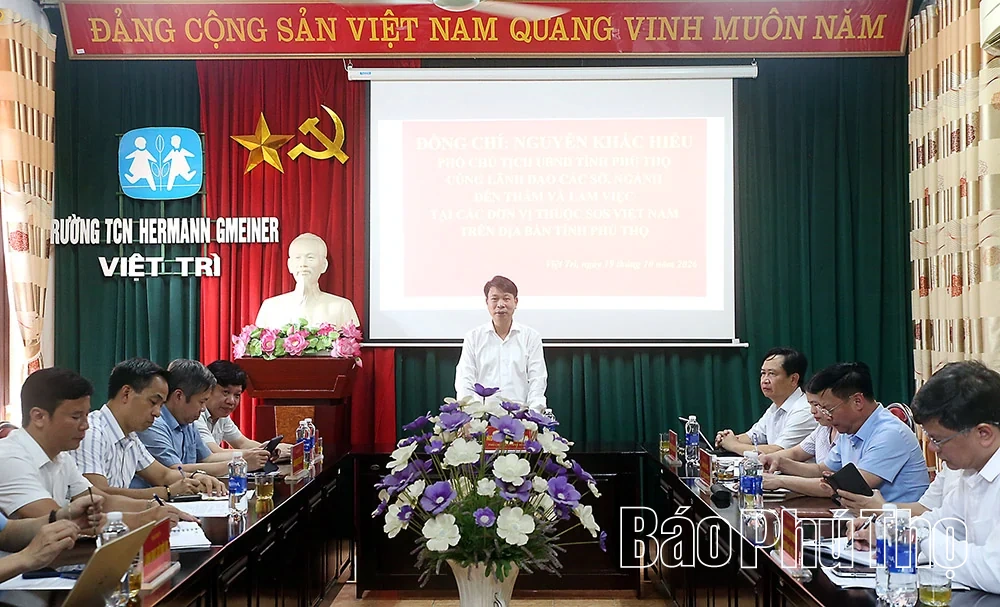 Bảo đảm hoạt động ổn định khi sắp xếp các đơn vị thuộc hệ thống SOS Việt Nam trên địa bàn tỉnh