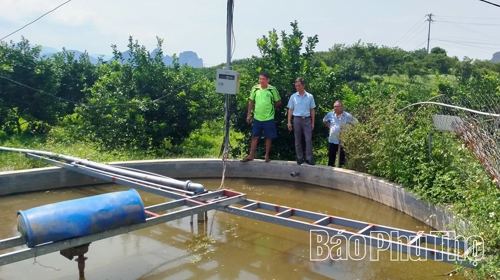 Ứng dụng công nghệ nâng cao giá trị cam Cao Phong