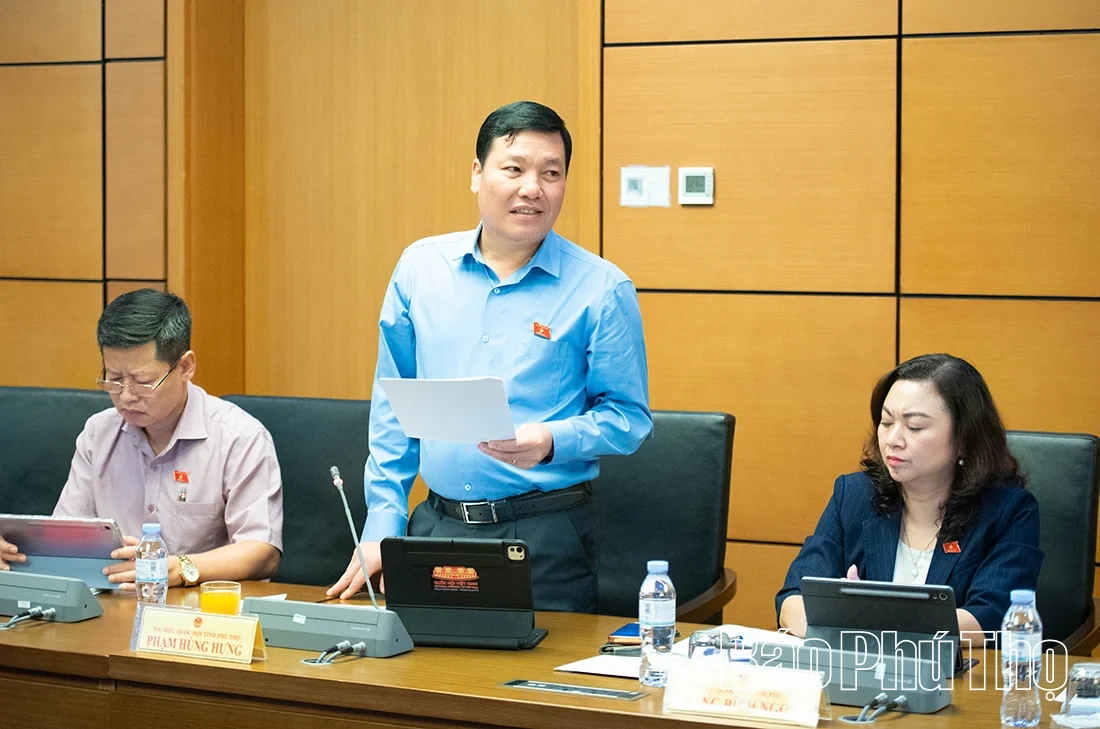 Đại biểu Quốc hội tỉnh thảo luận các dự án Luật về quản lý sử dụng vũ khí, vật liệu nổ, bảo vệ công trình quan trọng liên quan an ninh quốc gia